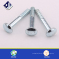 M4 Carriage Bolt, Ronda Cabeza Cuadrado Cuello Carruaje Bolt con frutos secos en buen pago